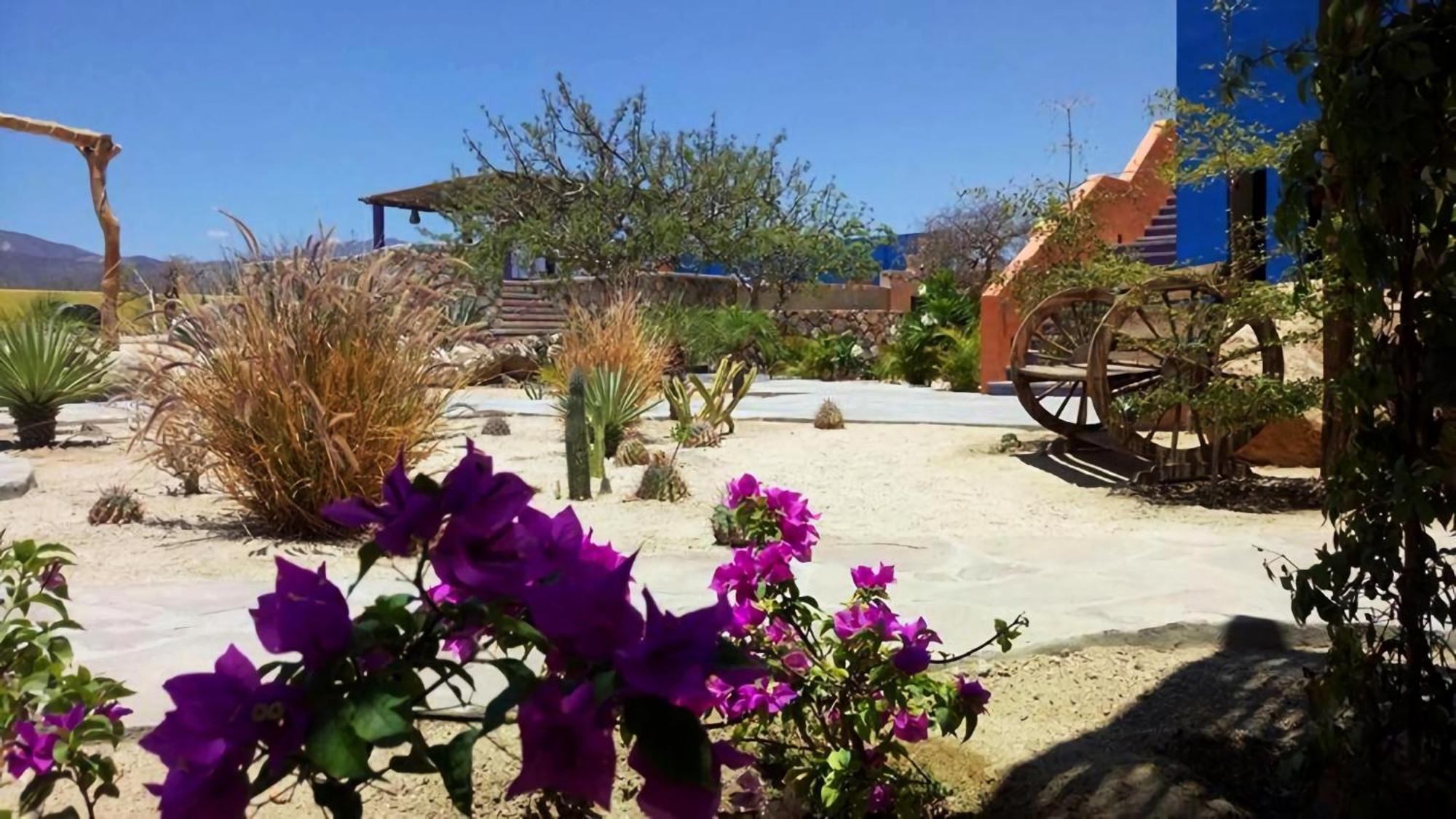 Hotel Boutique Las Terrazas El Cardonal المظهر الخارجي الصورة